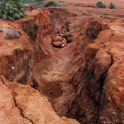 Papaka Iki Gulch-soil erosion