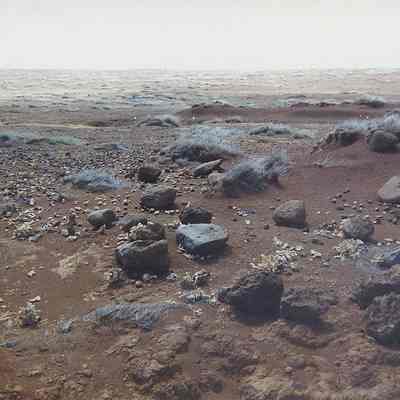 Site 195