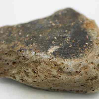 Closeup profile of basalt scraper: The image shows a small, irregularly shaped brown rock with a rough texture and dark patches on its surface, lying on a plain white background.