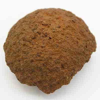 Closeup of broken cup or mortar base: The image shows a rough, brownish object with a textured surface, possibly resembling a piece of a broken cup or mortar.