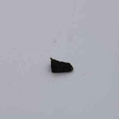 Tiny basaltic glass flake: A small piece of basaltic glass rests on a neutral, smooth surface, showcasing its dark, angular form and subtle reflective sheen.