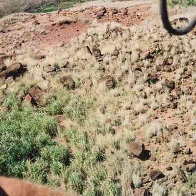 Aerial view of potential archaeological site