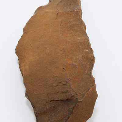 Lengthwise view of basalt awl (kui houhou, kui iwi): The image shows a large, brown, irregularly shaped stone resembling an awl (kui houhou, kui iwi) on plain background.