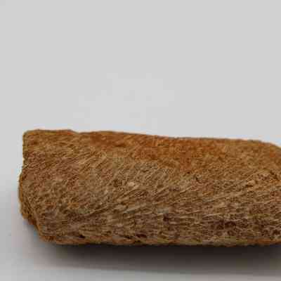 Profile of a coral abrader: The image shows a textured coral abrader, partially encased with reddish soil, with a rough, porous surface suitable for grinding or sanding, against a plain white background.