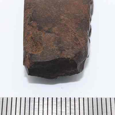 Lengthwise view of small basalt adze (ko'i) and ruler: The image shows a dark brown, irregularly shaped stone adze (ko'i) placed on a white surface next to a ruler for scale measurement.