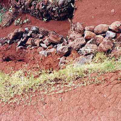 Part of a check dam