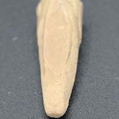 Abrader made of the spine of an echinoid: The image shows a slender, elongated stone tool or artifact spine with a smooth surface and faint central ridge, placed against a dark background.
