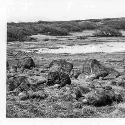 Site 150, #12