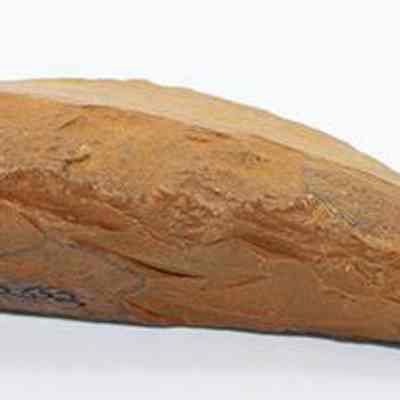 Profile of basalt awl (kui houhou, kui iwi) with alternate id number visible: The image shows a stone awl (kui houhou, kui iwi), an ancient tool made from a roughly shaped, brownish stone with visible chiseled marks.