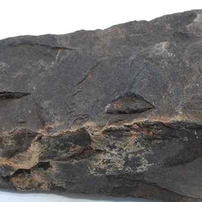Profile of basalt adze fragment: The image shows an irregular, dark stone fragment with rough, uneven surfaces and edges, possibly part of an ancient adze tool.