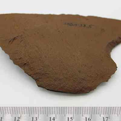 Side of possible basalt scraper with ruler: The image displays an irregularly shaped, brown pottery shard with a catalog number "150A-33.5" written on it.