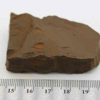 Adze (ko'i) fragment with ruler: The image shows a brown adze (ko'i) with rough edges lying next to a ruler, highlighting its size on a plain white background.