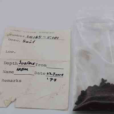 Soil sample