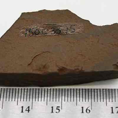 Basalt adze fragment with ruler: The image shows a fragment of an adze, displayed beside a ruler for scale, with an identification number on its surface.