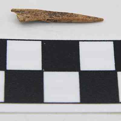 Worked bone with scale: The image shows a small, pointed bone artifact placed next to a black and white centimeter scale for size reference on a plain background.