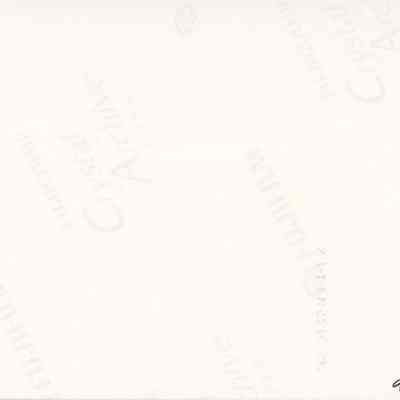 2010.001.267a