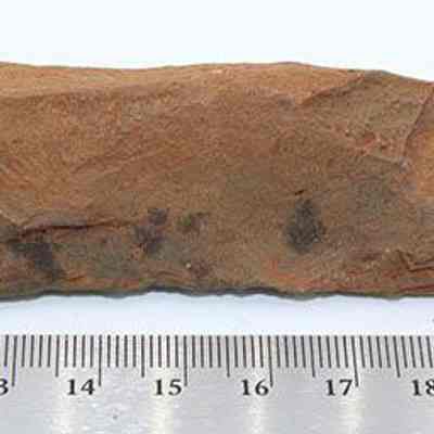 Profile of reversed subtriangular adze preform: Origsize: 10 cm (L) x 3 c (H); Origformat: Artifact; Resolution: 200 dpi
