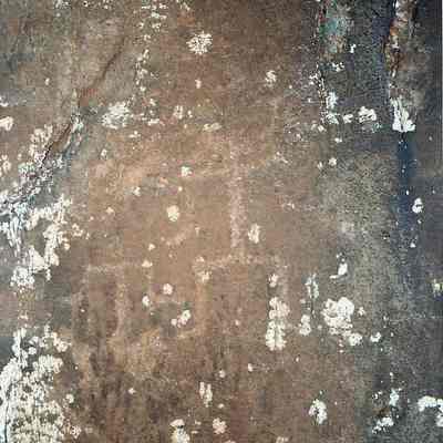 Two petroglyphs
