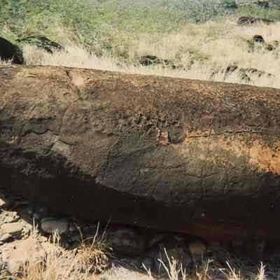 Ohana Stone-petroglyphs