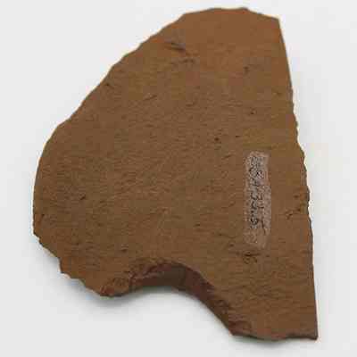 Side of possible basalt scraper with alternate id number visible: The image shows a fragment of an ancient scraper with a pattern or inscription embedded in its surface, indicating historical significance or use.