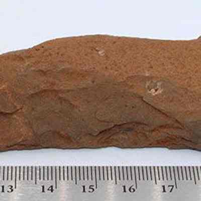 Opposite profile of reversed subtriangular adze preform: Origsize: 10 cm (L) x 3 cm (H); Origformat: Artifact; Resolution: 200 dpi
