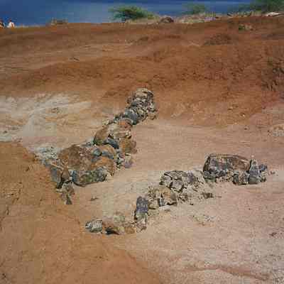 Erosion control structures @ Wailuna