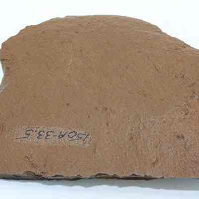 Side of possible basalt scraper with alternate id number visible: The image shows a flat, brown rock with rough edges, possibly a basalt scraper, featuring an identifying number on its surface.
