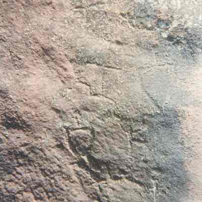 Faint petroglyphs: Origformat: Print-Photographic