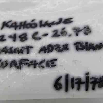 White labeled plastic bag with information for 248C-26.78 sample: The image shows a plastic bag labeled "Kahoʻolawe 248 C - 26.78 ADZE BLANK" dated 6/17/1978.