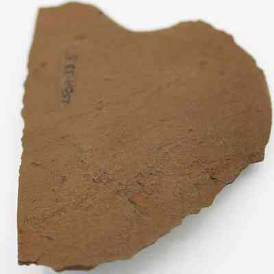 Side of possible basalt scraper with alternate id number visible: The image shows a brown, irregularly shaped fragment of possible scraper.