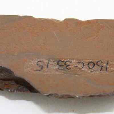Basalt adze fragment with alternate id number visible: The image shows a fragment of an adze, featuring a rough, uneven surface, and an inscription marked as "1504-3315" on the surface.