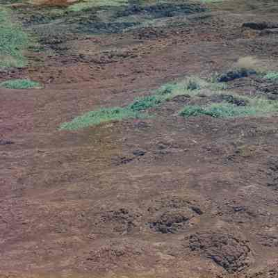 Hardpan terrain