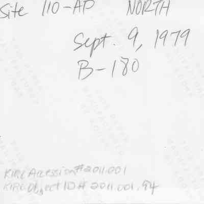 Handwritten text on back of photo of petroglyphs (ki'i pōhaku) (KIRC Object #2011.001.94): The image features handwritten notes indicating "Site 110-AP North" and "Sept. 9, 1979"
