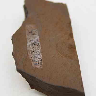 Adze fragment with alternate id number visible: The image shows a brown stone adze fragment with a rough texture and visible markings, resting on a light background.