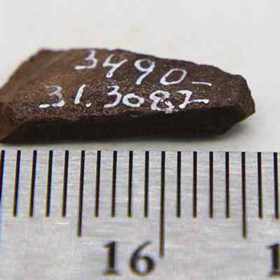 Closeup of worked bone fish hook tab with ruler: The image shows a small, dark bone fragment with white numbers written on it, placed next to a measuring ruler, indicating its size.