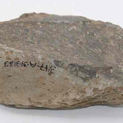 Closeup of basalt scraper with visible alternate id number: The image shows a roughly hewn stone tool with a flat surface and mottled brown and gray coloration, featuring identification number in black ink on one side.