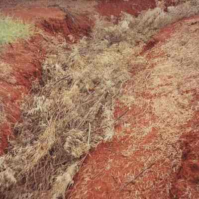 Brush pile in erosion cut