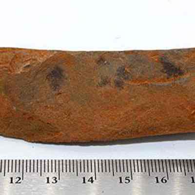 Profile of opposite side of reversed subtriangular adze preform: Origsize: 10 cm (L) x 3 cm (H); Origformat: Artifact; Resolution: 200 dpi