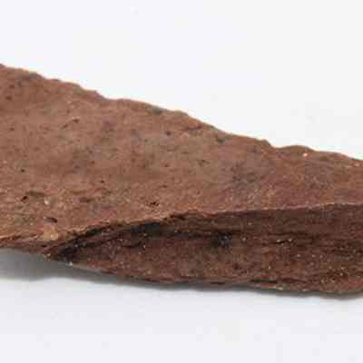 Closeup lengthwise view of a fish hook tab made of worked bone: The image shows a single piece of reddish-brown bonewith a rough texture, lying against a plain white background, revealing its uneven surface.