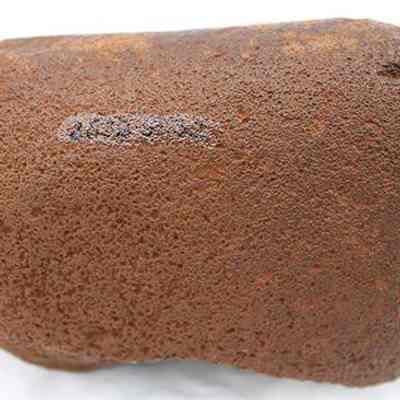 Basalt hammerstone with alternate id number visible: The image shows a hammerstone, an ancient tool, featuring a rough, oval shape with a brown, textured surface, likely used in tool-making.