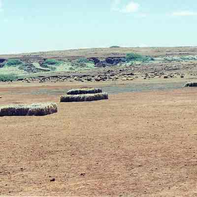 Pili bales on hardpan