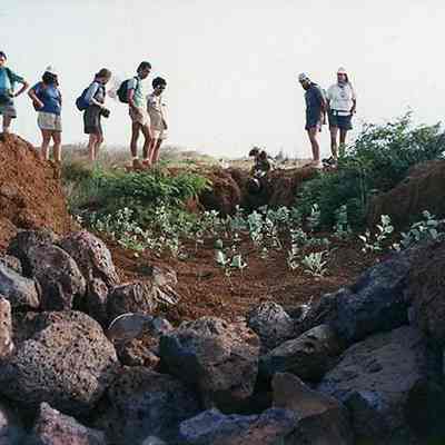 People examining pohinahina