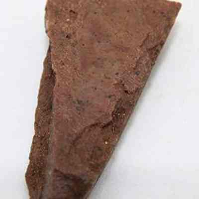 Closeup of fish hook tab made of worked bone: The image shows a close-up of a brown, triangular piece of bone with a rough texture, possibly used in early human activities, resting on a light background.