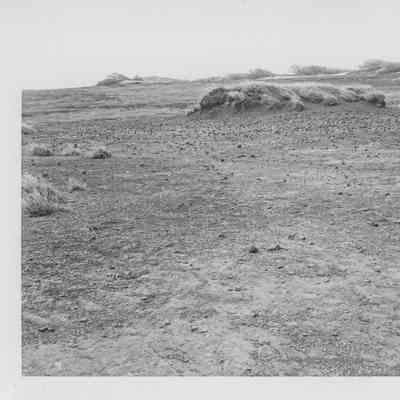 Site 104B #10
