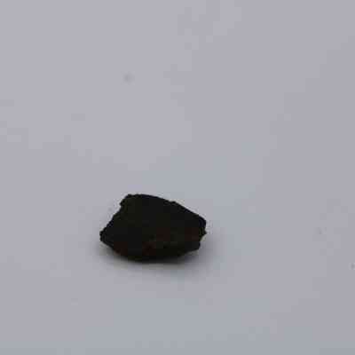 Closeup of basaltic glass flake: A small, dark basaltic glass flake is resting on a smooth, light-colored surface with minimal surrounding texture.