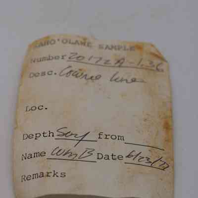 Artifact slip for cowrie shell lure: An old, slightly stained artifact slip notes sample number 2017Z9-1.36, described as "cowrie lure" with a date of recovery.