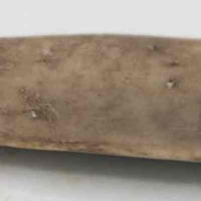 Abrader