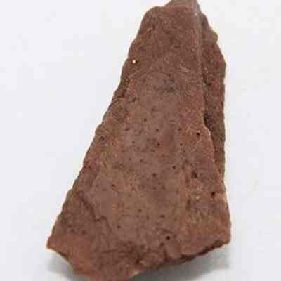 Closeup of fish hook tab made of worked bone: The image shows a single, irregularly shaped brown bone fragment resting on a light surface, featuring a smooth texture with visible speckled details.