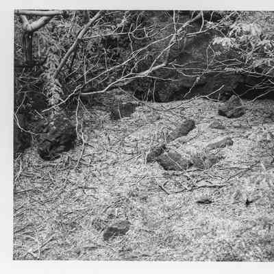 Site 636H #12