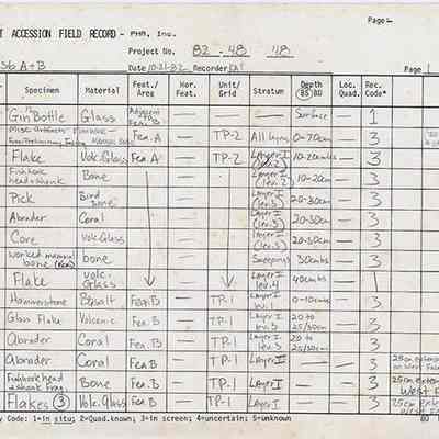 Artifact Accession Field Record